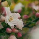 深入了解www.kaiyun.com:为您提供最佳云服务解决方案的选择 fa9qqb7b