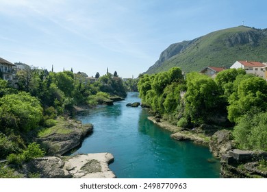 海鸥体育官方网站的优势分析：为何成为体育爱好者的首选平台