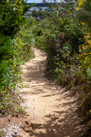 深入了解citibet赛马：如何选择最佳赛马投注策略