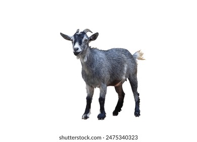 204开奖前后出现的神秘现象大揭秘 204开奖前后出现的神秘现象大揭秘