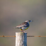 2025年香港开奖结果最新公布与完整数据汇总 351iuq