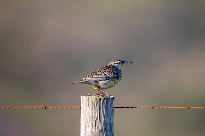2025年香港开奖结果最新公布与完整数据汇总 2025年香港开奖结果最新公布与完整数据汇总