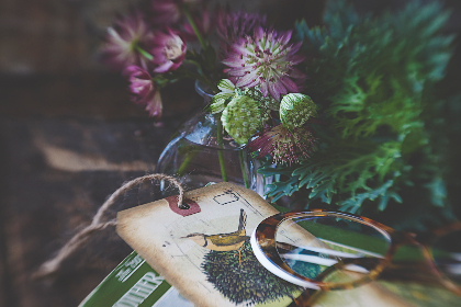 isu官方赛事直播:冰上竞技的视觉盛宴 isu官方赛事直播:冰上竞技的视觉盛宴