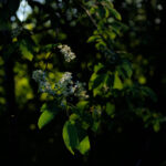 2025年香港开彩开奖最新结果与日期查询 b95xe13e7