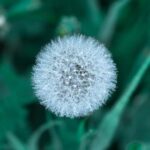 iPad观看CCTV5在线直播高清体育赛事全攻略 cc5wofgxw