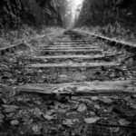 2025期最新开奖结果查询与历史中奖号码汇总 fdz6ajh5jq