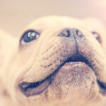 203福彩开奖结果最新公布,快来看看你中奖了吗? gs3wqw3g