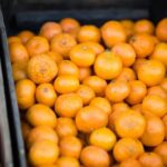 2025年马票开奖结果最新公布与查询 re0t5b9v