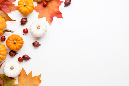 ICS在线直播:开启实时互动学习新纪元 ICS在线直播:开启实时互动学习新纪元