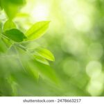 2025年第44期彩票开奖结果最新公布 u5ggpd11if