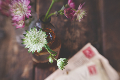 2025年重要奖项开奖时间正式公布 2025年重要奖项开奖时间正式公布