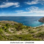 2025年足彩开奖结果汇总与最新动态 wyxd005