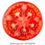 20678期香港开奖结果最新公布与详细数据分析 yl9tjq3il